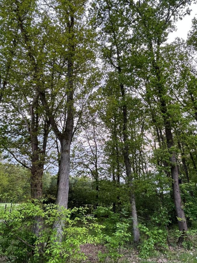 Chalet Liquidambar Zutendaal Luaran gambar